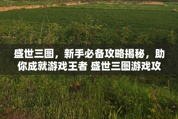盛世三图，新手必备攻略揭秘，助你成就游戏王者 盛世三图游戏攻略