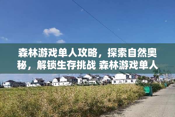 森林游戏单人攻略，探索自然奥秘，解锁生存挑战 森林游戏单人攻略