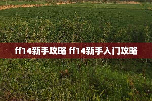ff14新手攻略 ff14新手入门攻略