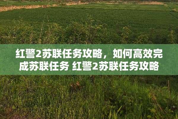 红警2苏联任务攻略，如何高效完成苏联任务 红警2苏联任务攻略