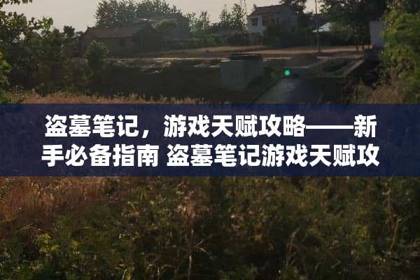 盗墓笔记，游戏天赋攻略——新手必备指南 盗墓笔记游戏天赋攻略图