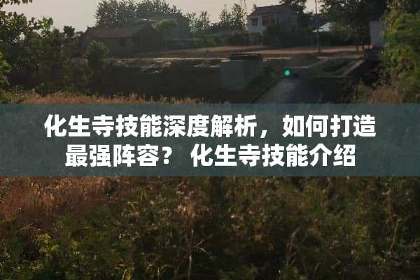 化生寺技能深度解析，如何打造最强阵容？ 化生寺技能介绍