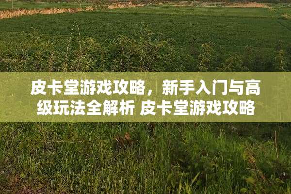 皮卡堂游戏攻略，新手入门与高级玩法全解析 皮卡堂游戏攻略