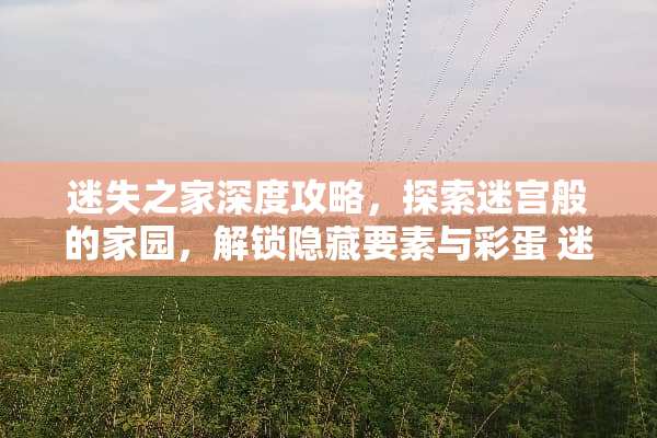 迷失之家深度攻略，探索迷宫般的家园，解锁隐藏要素与彩蛋 迷失之家攻略