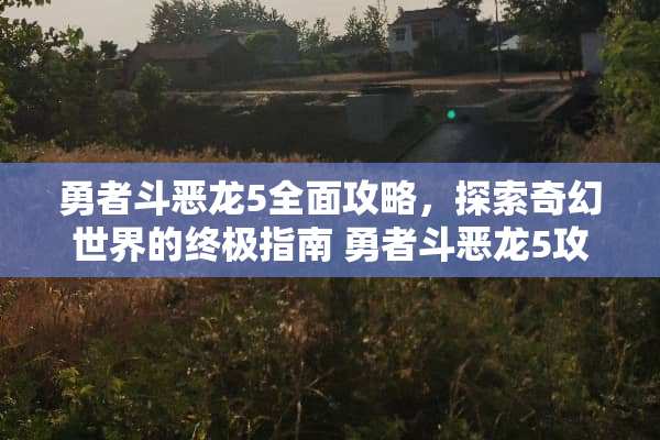 勇者斗恶龙5全面攻略，探索奇幻世界的终极指南 勇者斗恶龙5攻略图文