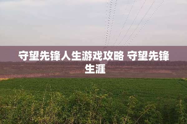 守望先锋人生游戏攻略 守望先锋 生涯