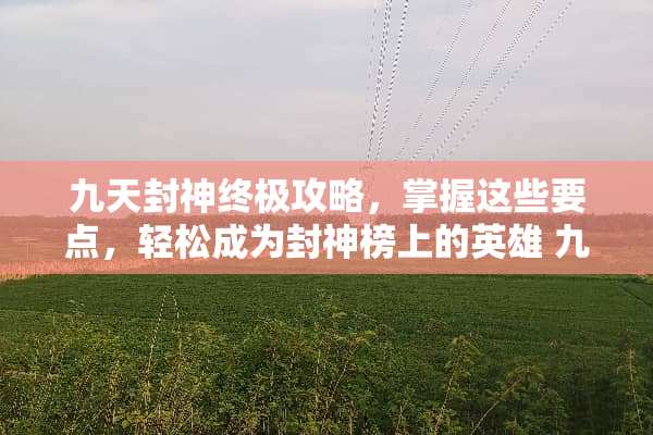 九天封神终极攻略，掌握这些要点，轻松成为封神榜上的英雄 九天封神攻略