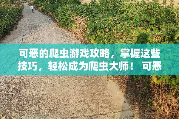 可恶的爬虫游戏攻略，掌握这些技巧，轻松成为爬虫大师！ 可恶的爬虫游戏攻略