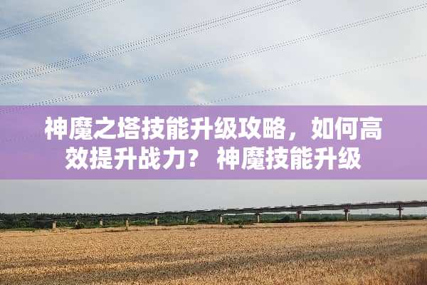 神魔之塔技能升级攻略，如何高效提升战力？ 神魔技能升级