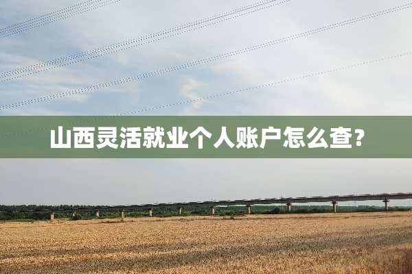山西灵活就业个人账户怎么查？