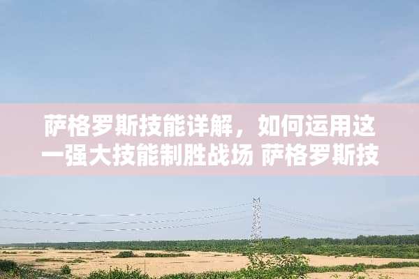 萨格罗斯技能详解，如何运用这一强大技能制胜战场 萨格罗斯技能