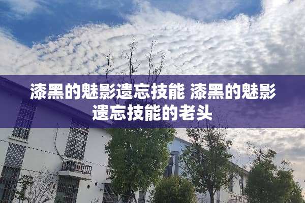 漆黑的魅影遗忘技能 漆黑的魅影遗忘技能的老头