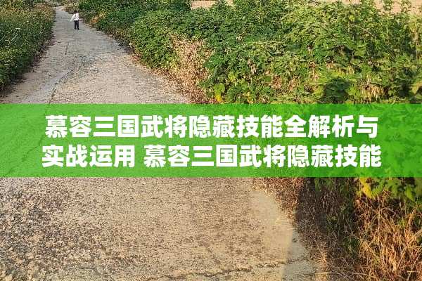 慕容三国武将隐藏技能全解析与实战运用 慕容三国武将隐藏技能