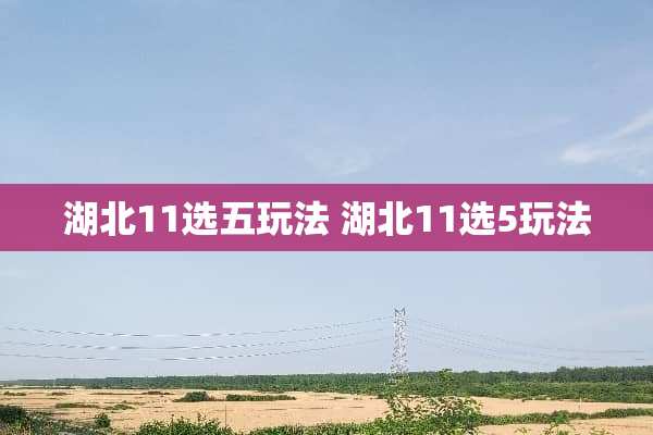 湖北11选五玩法 湖北11选5玩法