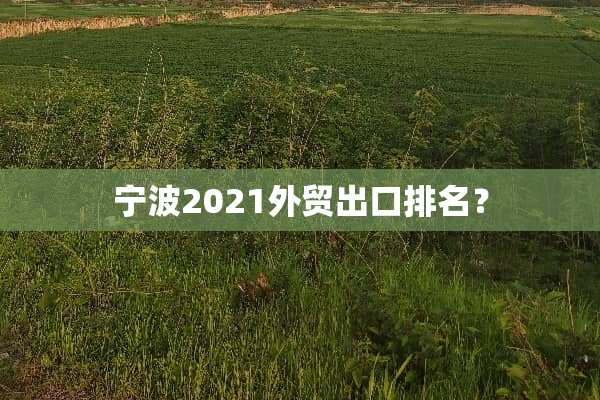 宁波2021外贸出口排名？