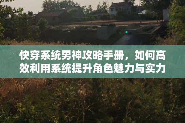快穿系统男神攻略手册，如何高效利用系统提升角色魅力与实力 快穿系统男神攻略手册
