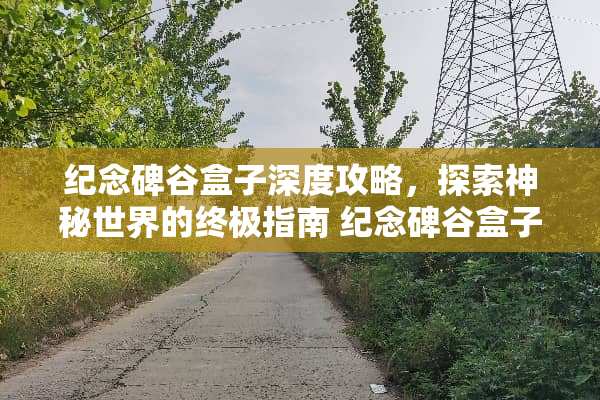 纪念碑谷盒子深度攻略，探索神秘世界的终极指南 纪念碑谷盒子攻略