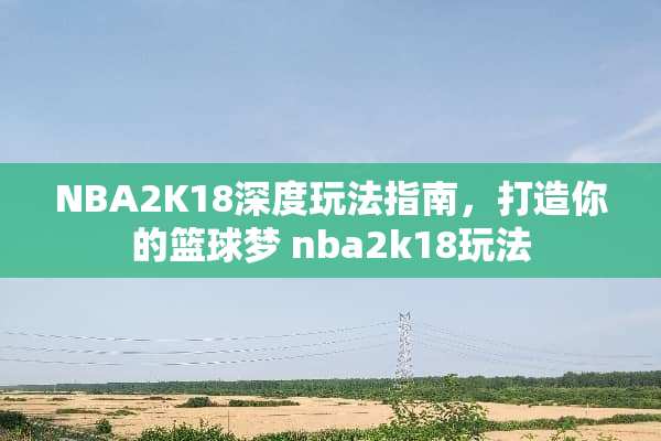 NBA2K18深度玩法指南，打造你的篮球梦 nba2k18玩法
