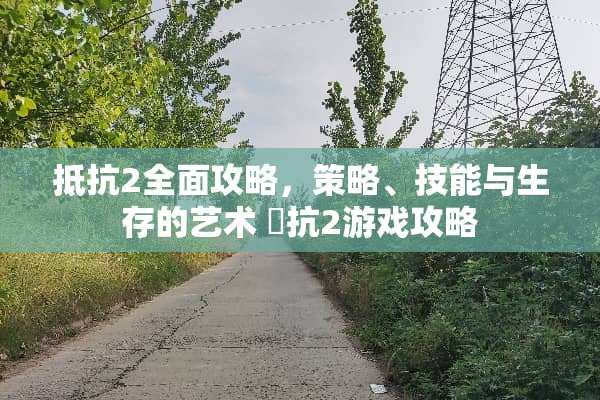 抵抗2全面攻略，策略、技能与生存的艺术 扺抗2游戏攻略