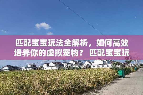 匹配宝宝玩法全解析，如何高效培养你的虚拟宠物？ 匹配宝宝玩法