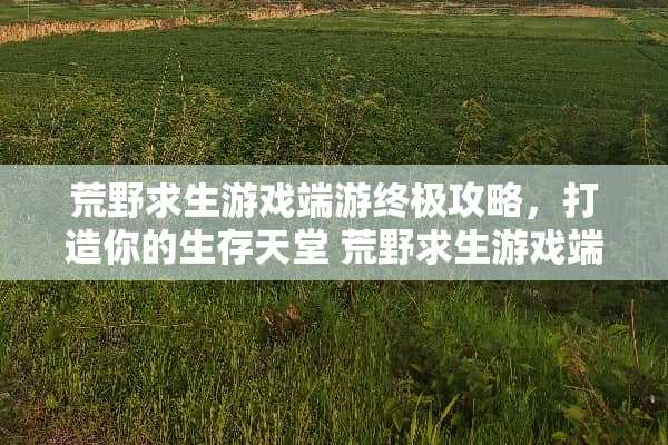 荒野求生游戏端游终极攻略，打造你的生存天堂 荒野求生游戏端游攻略