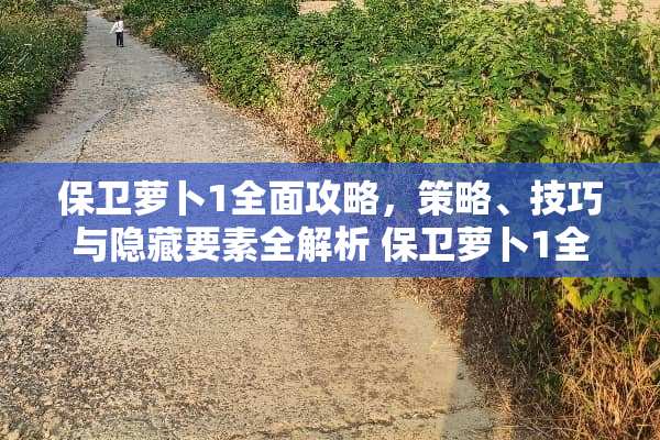 保卫萝卜1全面攻略，策略、技巧与隐藏要素全解析 保卫萝卜1全部攻略