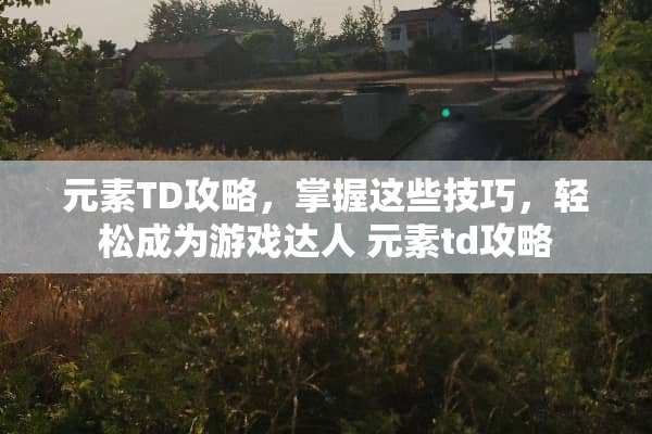 元素TD攻略，掌握这些技巧，轻松成为游戏达人 元素td攻略