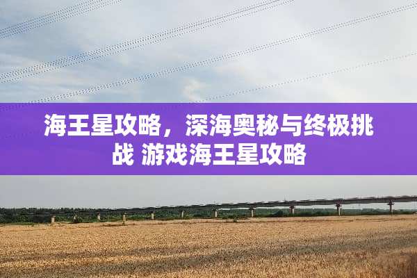 海王星攻略，深海奥秘与终极挑战 游戏海王星攻略