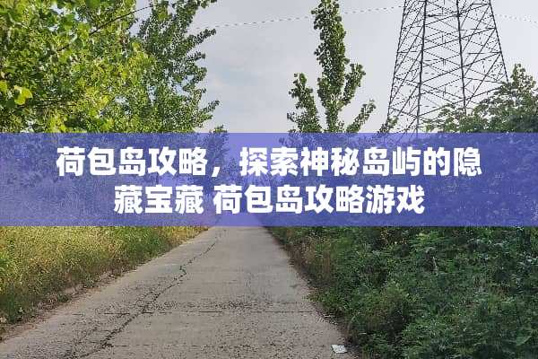 荷包岛攻略，探索神秘岛屿的隐藏宝藏 荷包岛攻略游戏