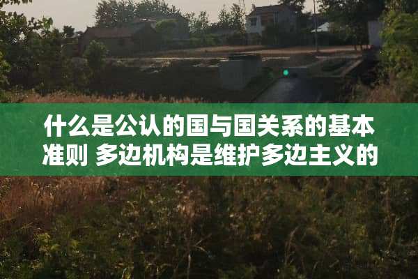 什么是公认的国与国关系的基本准则 多边机构是维护多边**的基本框架？