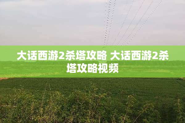 大话西游2杀塔攻略 大话西游2杀塔攻略视频
