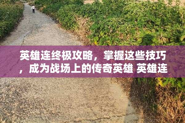英雄连终极攻略，掌握这些技巧，成为战场上的传奇英雄 英雄连的攻略