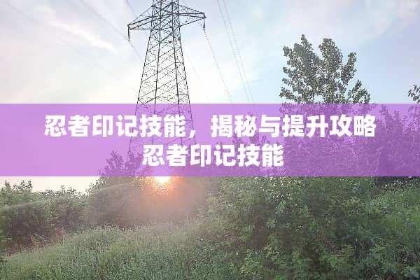 忍者印记技能，揭秘与提升攻略 忍者印记技能