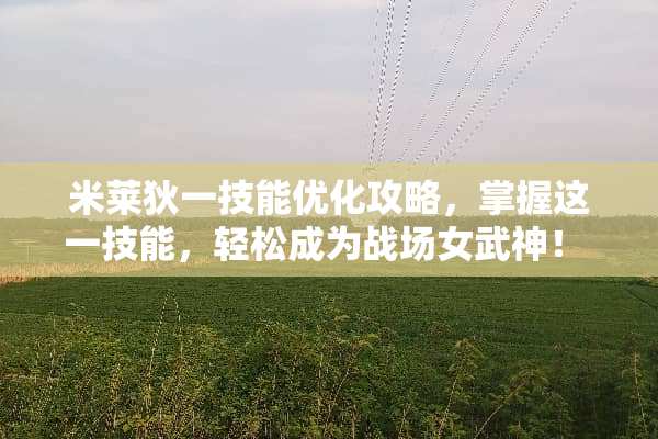米莱狄一技能优化攻略，掌握这一技能，轻松成为战场女武神！ 米莱狄一技能