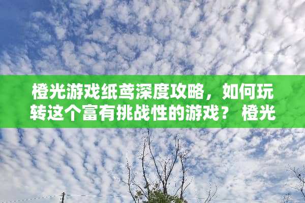 橙光游戏纸鸢深度攻略，如何玩转这个富有挑战性的游戏？ 橙光游戏纸鸢攻略