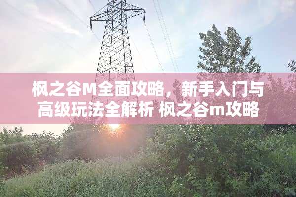 枫之谷M全面攻略，新手入门与高级玩法全解析 枫之谷m攻略