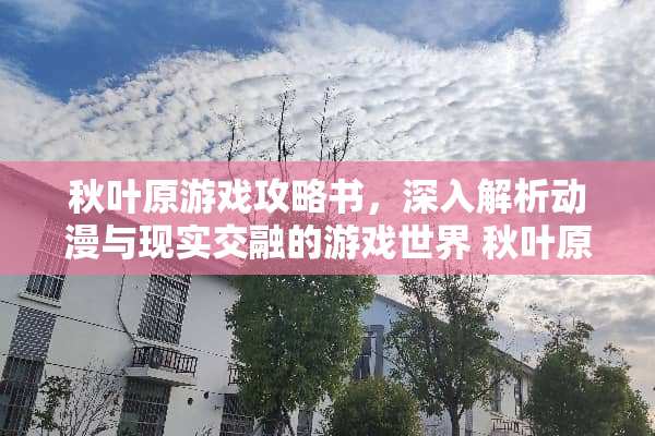 秋叶原游戏攻略书，深入解析动漫与现实交融的游戏世界 秋叶原游戏攻略书