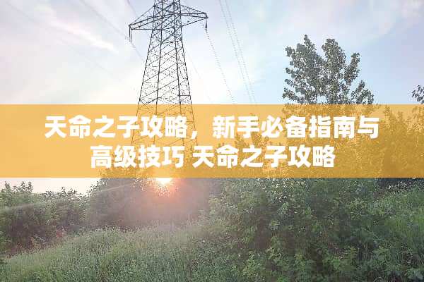 天命之子攻略，新手必备指南与高级技巧 天命之子攻略