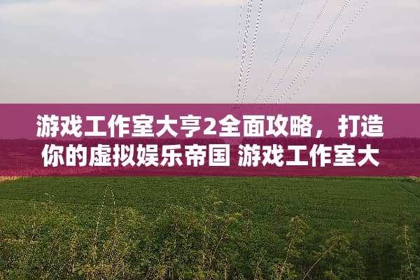 游戏工作室大亨2全面攻略，打造你的虚拟娱乐帝国 游戏工作室大亨2攻略