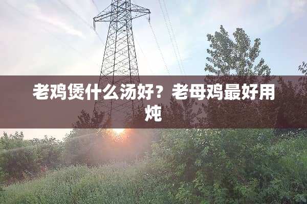 老鸡煲什么汤好？老母鸡最好用炖