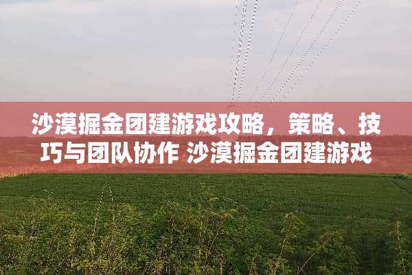 沙漠掘金团建游戏攻略，策略、技巧与团队协作 沙漠掘金团建游戏攻略