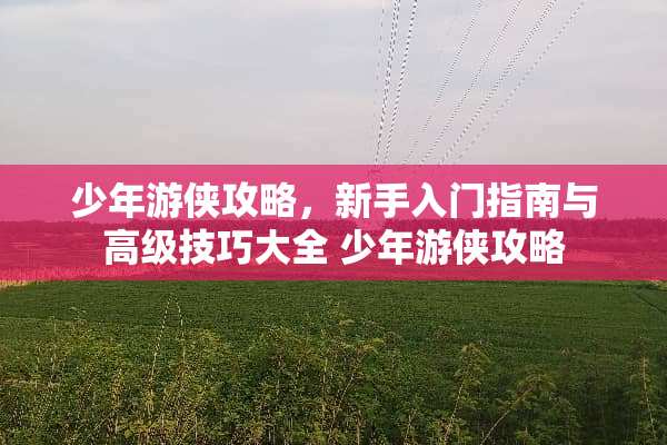 少年游侠攻略，新手入门指南与高级技巧大全 少年游侠攻略