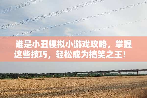 谁是小丑模拟小游戏攻略，掌握这些技巧，轻松成为搞笑之王！ 谁是小丑模拟小游戏攻略