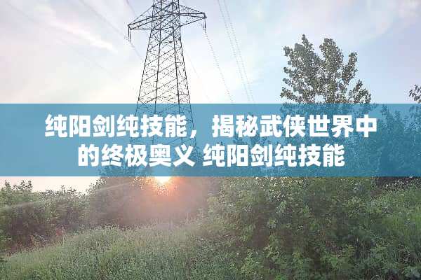 纯阳剑纯技能，揭秘武侠世界中的终极奥义 纯阳剑纯技能