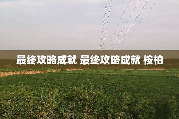 最终攻略成就 最终攻略成就 桉柏