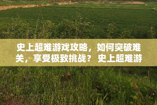 史上超难游戏攻略，如何突破难关，享受极致挑战？ 史上超难游戏攻略