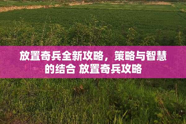 放置奇兵全新攻略，策略与智慧的结合 放置奇兵攻略