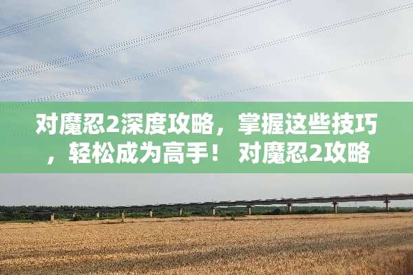 对魔忍2深度攻略，掌握这些技巧，轻松成为高手！ 对魔忍2攻略