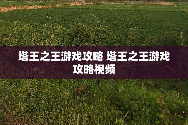 塔王之王游戏攻略 塔王之王游戏攻略视频