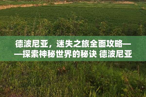 德波尼亚，迷失之旅全面攻略——探索神秘世界的秘诀 德波尼亚攻略